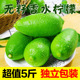 海南无籽香水柠檬新鲜子弹头四季青柠檬奶茶店水果整箱批发价包邮