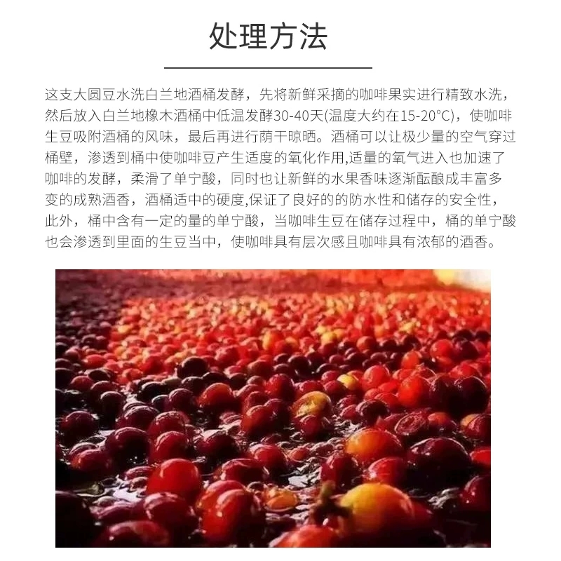 白兰地酒桶水洗处理巴比伦庄园精品现磨咖啡豆生豆科纳大圆豆1kg