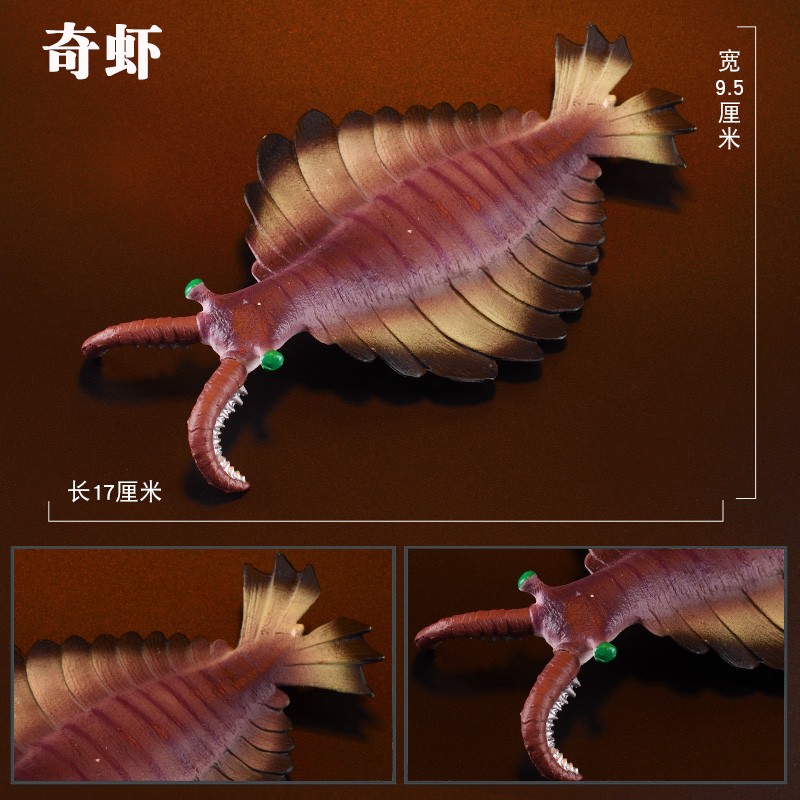 远古海洋动物模型仿真史前生物儿童玩具奇虾男孩礼物