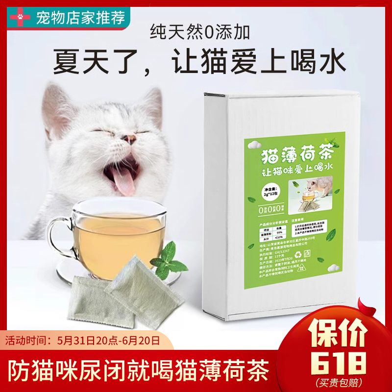 猫薄荷茶可食用帮助猫喝水消化清新口