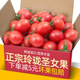 现摘农家玲珑圣女果5斤小番茄新鲜水果蔬菜当季时令整箱小西红柿