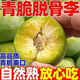 正宗四川脱骨李子新鲜水果青脆李蜂糖冰糖脆李子孕妇水果半边酸甜