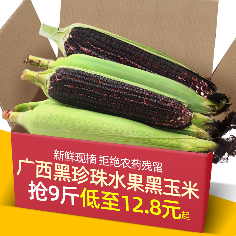 广西新鲜现摘农家黑珍珠玉米5-9斤