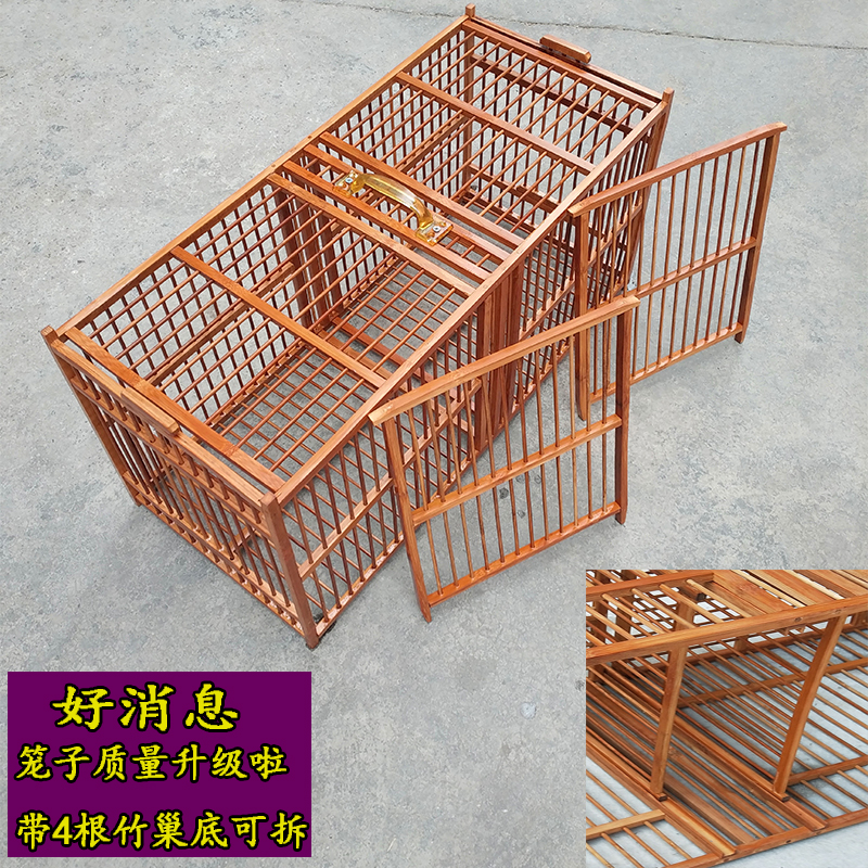 画眉鸟打斗攻笼