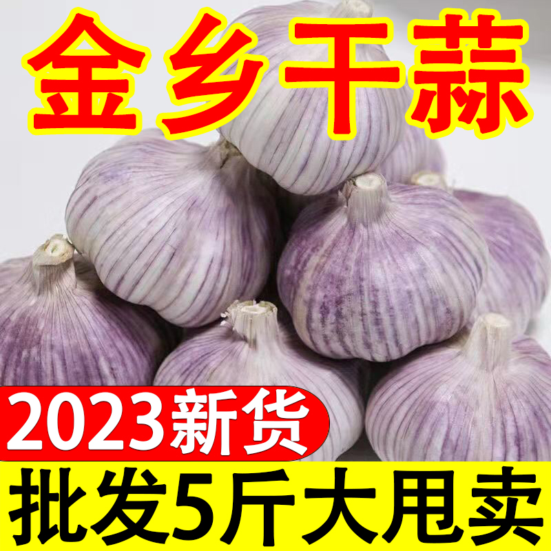 山东金乡紫皮大蒜头 干蒜5斤装紫皮新鲜多瓣农家特大果1/3/5/10斤