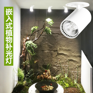 led全光谱仿太阳植物补光灯嵌入式开孔家用洞植物墙发财树生长灯