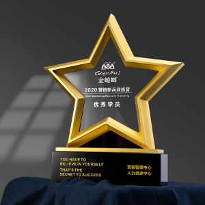 纪念品镀金奖杯068080战略合作伙伴共赢签约创意纪念奖杯个性刻字