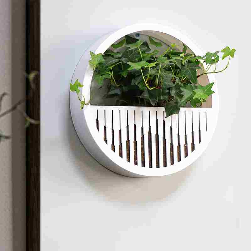 新款创意圆形壁挂花盆真植物墙上挂墙挂壁花架家居客厅墙面装饰挂