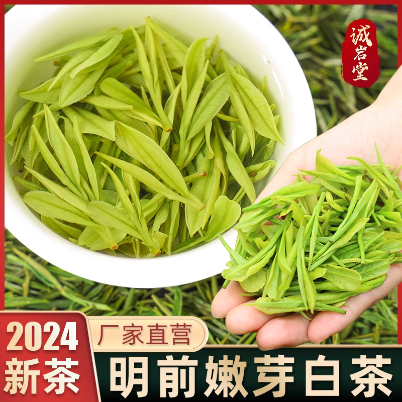 正宗明前白茶嫩芽2024新茶高档绿