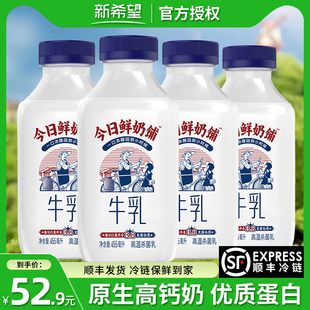 顺丰包邮新希望今日鲜奶铺445ml大瓶装鲜牛奶高乳钙学生营养早餐