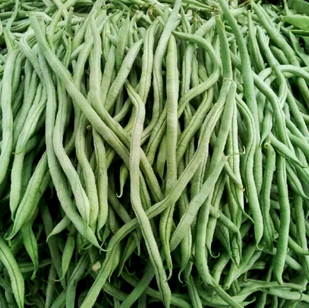 云南新鲜无筋豆5斤 当季现摘芸豆四季豆扁青豆角农家自种蔬菜包