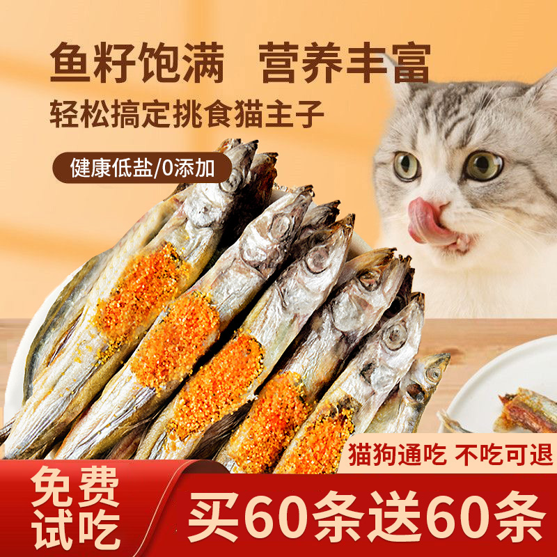 冻干多春鱼猫咪零食营养增肥发腮补钙