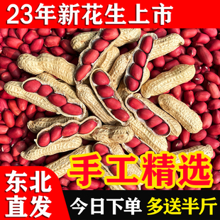2023新鲜红皮花生带壳生四粒红花生米农家自种晒干炒货原味花生仁
