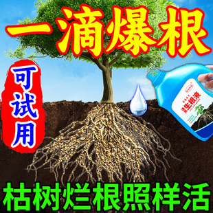 大树生根药水复活液枯树再生液植物成活营养液小苗移栽生根发芽剂