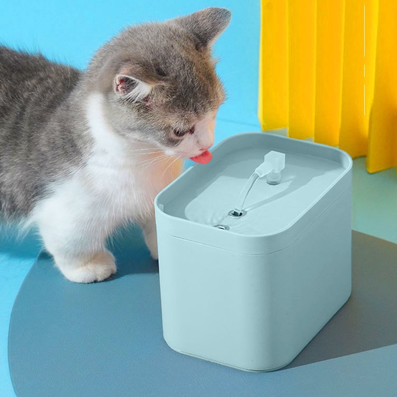 花螗季猫咪饮水机自动循环流动带过滤饮水器不湿嘴喝水器狗狗水盆