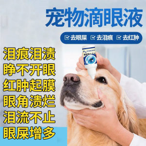 狗狗眼角溃烂用什么药图片