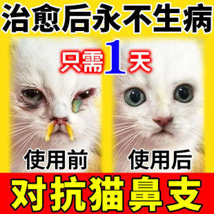 猫鼻支特效药猫咪感冒药打喷嚏流鼻涕呼吸道感染专用滴眼液营养液