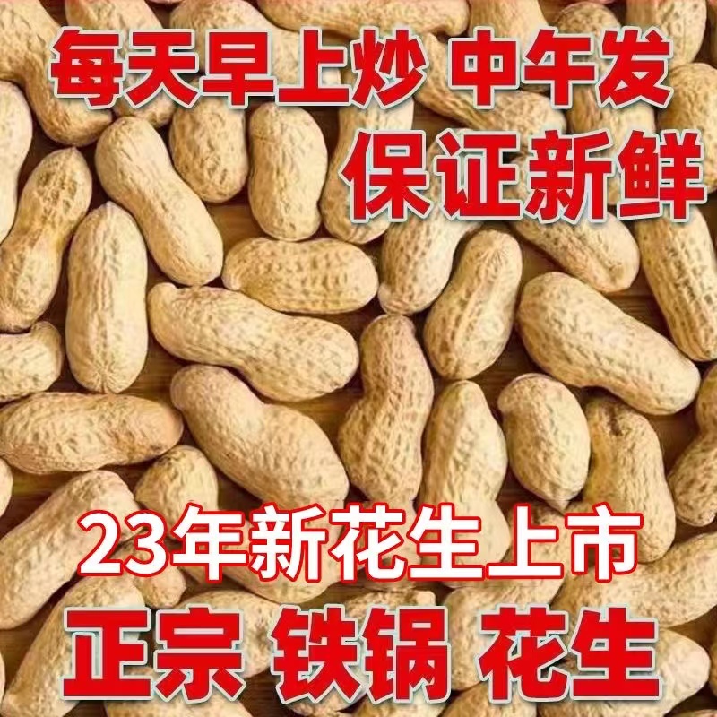 山东铁锅炒花生原味干炒花生带壳原味