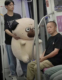 吾皇万睡玩偶公仔巴扎黑毛绒玩具万岁猫咪生日礼物网红爆款抱枕女