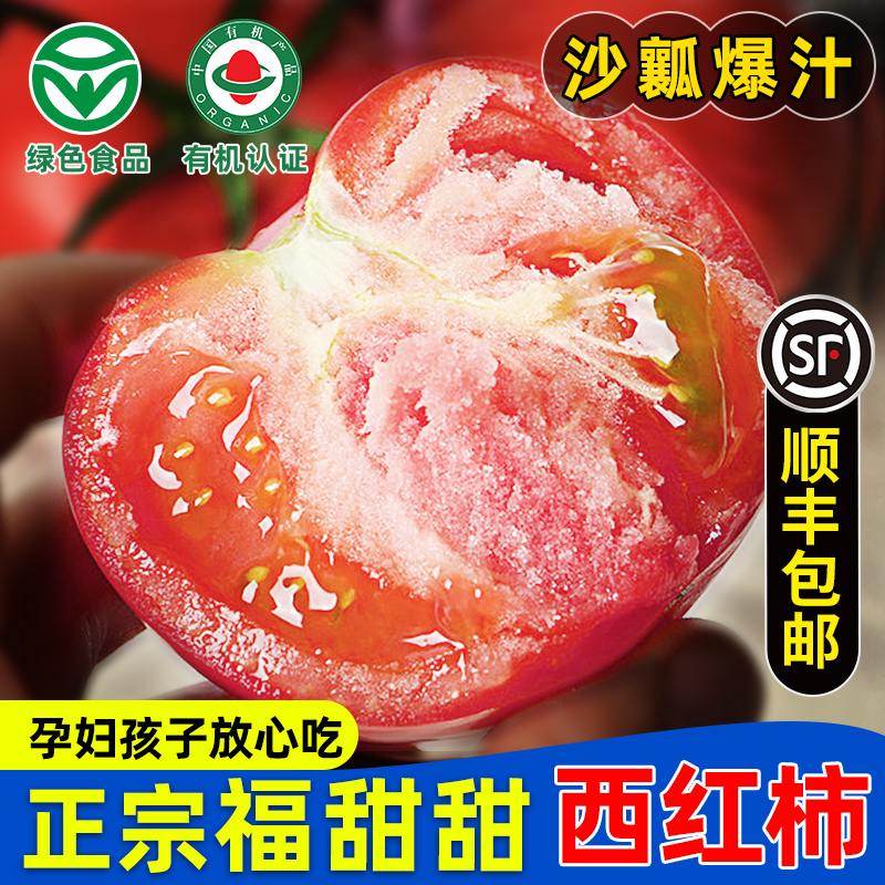 陕西沙瓤非普罗旺斯西红柿新鲜现摘水