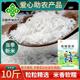 大米新米猫牙米寿城农家大米新米煮饭丝苗米晚稻长粒香米5斤10斤
