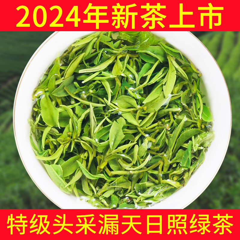 日照绿茶2024年新茶特级早春茶叶