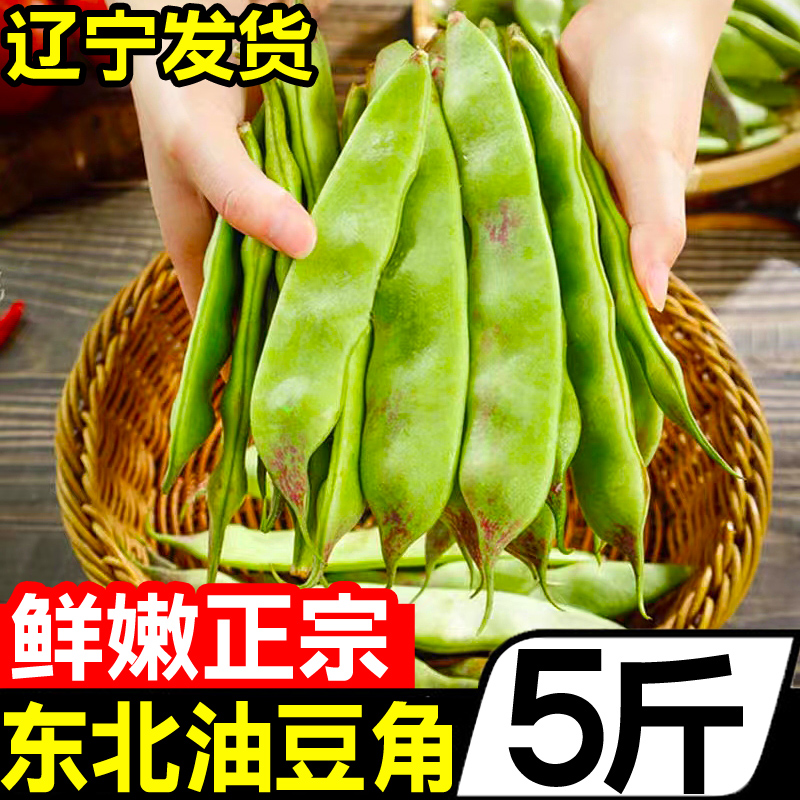 东北油豆角5斤新鲜现摘蔬菜一点红油