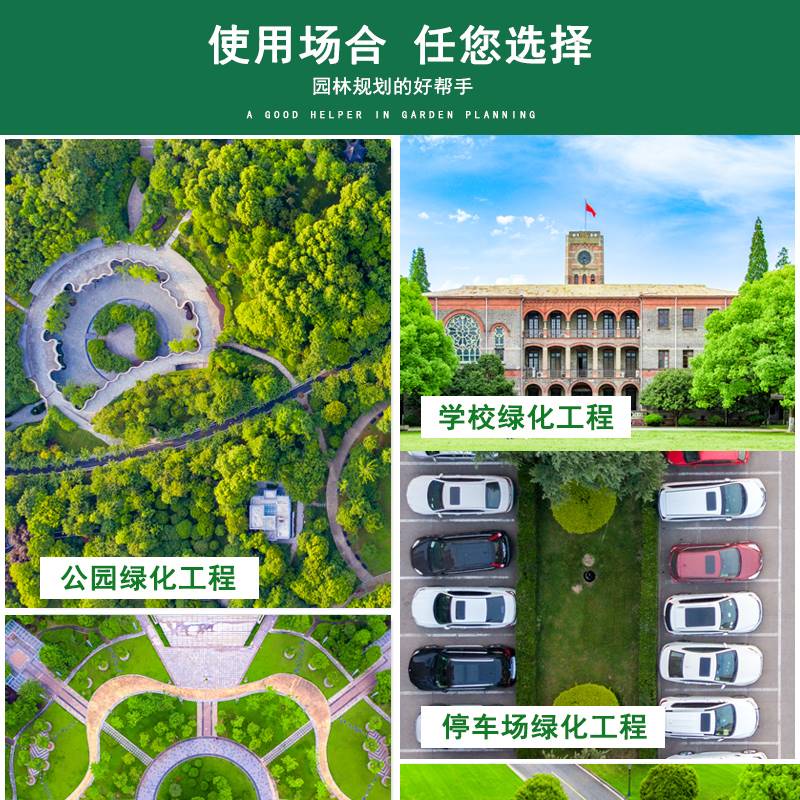 304/201不锈钢草石隔离带 金属隔离带 挡土板隔草带 不锈钢收边条