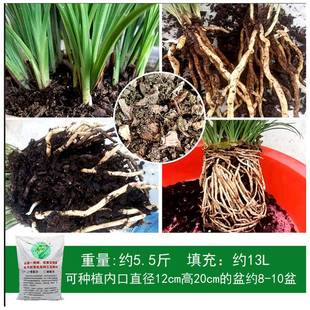 壹香牌兰花土高档兰花植料营养土兰花营养土透气疏松不板结老配方