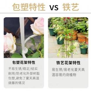 枝晓 直款月季架 爬藤架花盆支架高款室外园艺庭院铁艺支撑花架