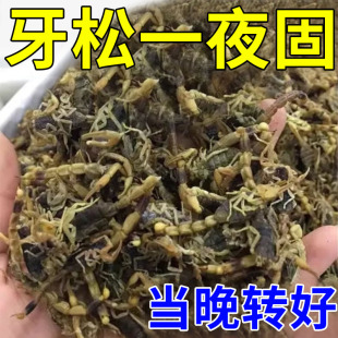 【牙松一夜固】牙齿晃动牙痛肿痛松动快速修护牙龈专用牙膏