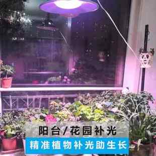 LED全光谱植物生长灯大功率 大棚蔬菜室内阳台多肉种植补光灯上色