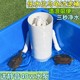 养龟低水位过滤桶家用乌龟缸三合一自动水循环系统除臭吸便免换水