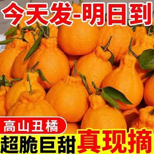 四川不知火丑橘新鲜橘子当季水果桔子柑橘整箱10斤批发现摘