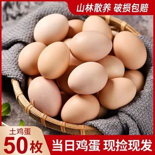 【农户直降】正宗新鲜土鸡蛋农家散养农村自养草鸡蛋笨鸡蛋柴鸡蛋