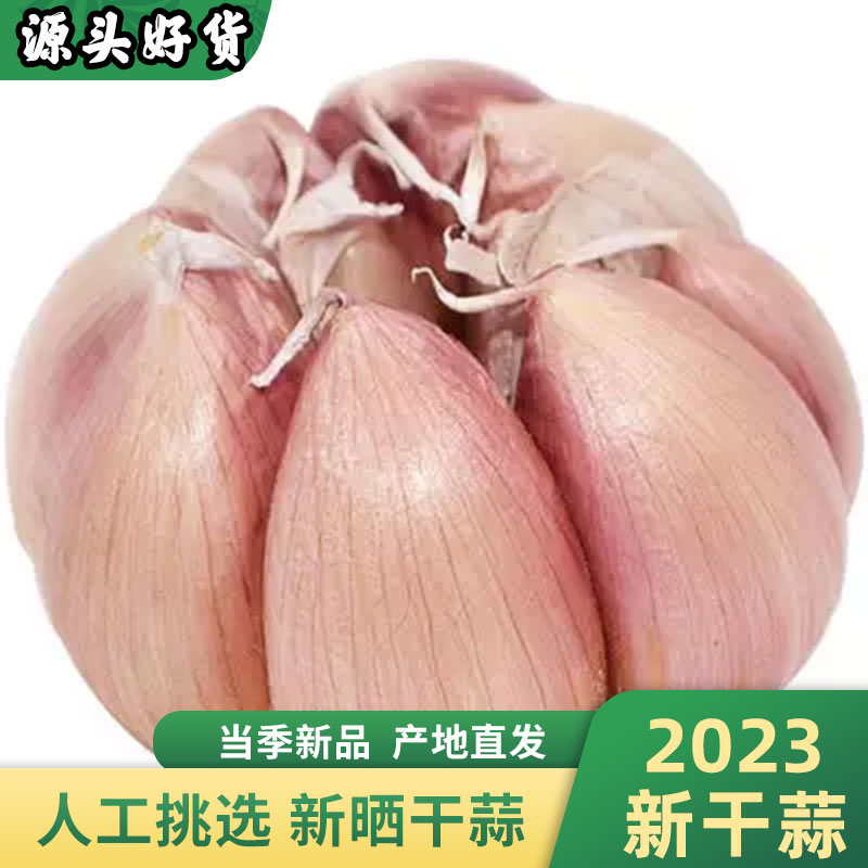 【香辣多汁】农家大蒜头干蒜5斤紫白