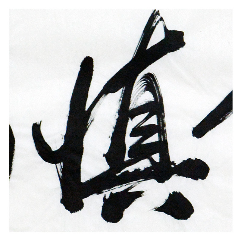 王灿之 《谨言慎行》 三槐堂(琅邪王)王羲之第53代继承人