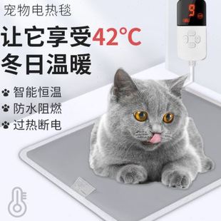 宠物电热毯猫咪专用加热垫恒温防水猫电热毯窝狗狗取暖电褥子小型