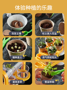 儿童阳光房种植花房种菜植物生长手工diy玩具科学小实验套装女孩6