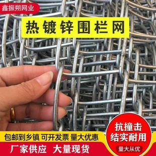 热镀锌铁丝网勾花网围栏养鸡钢丝网果园护栏网格家用圈牛羊养殖网