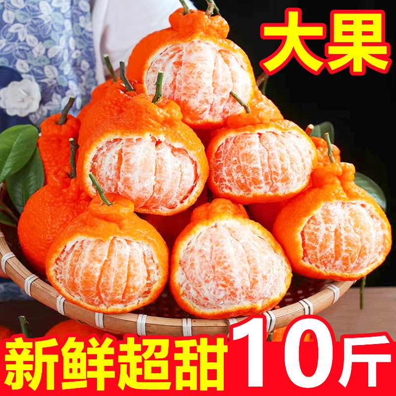 四川不知火丑橘10斤新鲜水果大果超