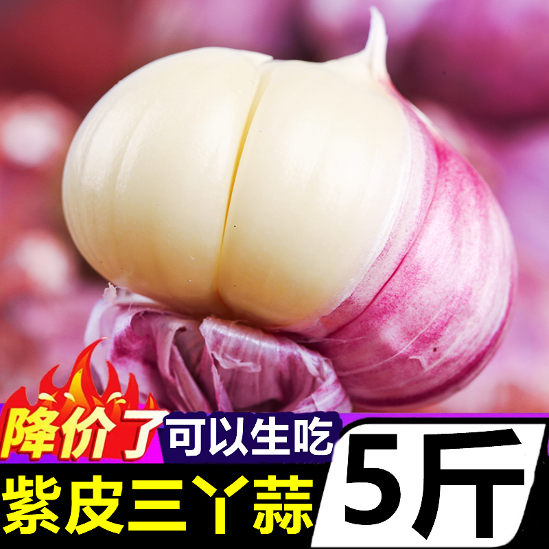 云南紫皮三丫蒜5斤大蒜头新鲜独头蒜