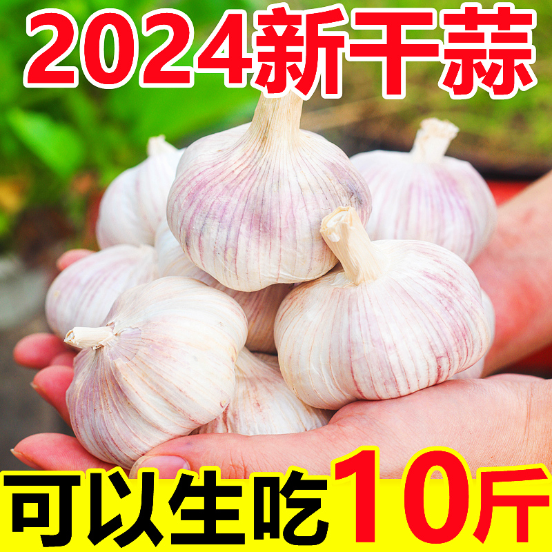 2024河南紫皮大蒜头干蒜5斤当季