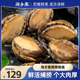 海乡集海鲜鲜冻鲍鱼水产食材商用鲍鱼3袋共18只