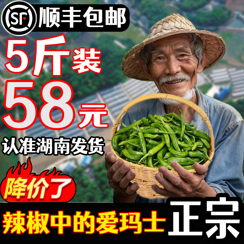 精品正宗湖南樟树港小辣椒现摘新鲜薄