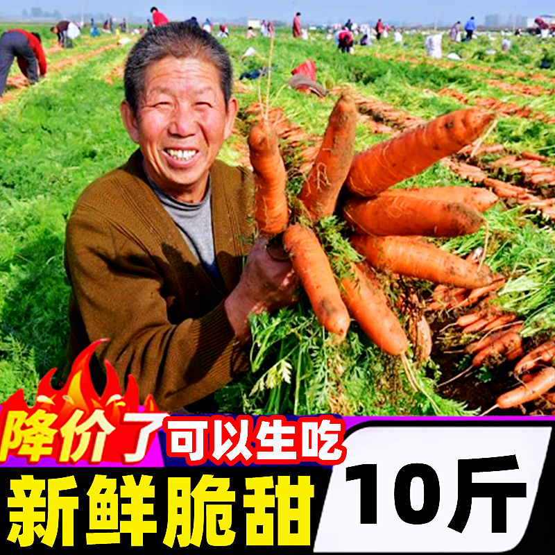 新鲜胡萝卜10斤现挖农家蔬菜红黄色