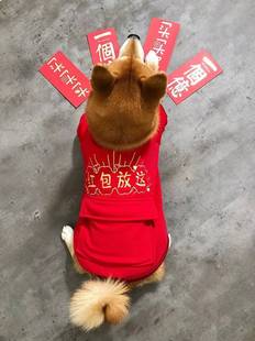 新年红包放这拜年服2024宠物狗狗龙年衣服春节柴犬小狗过年喜庆装