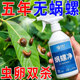 蜗螺净庭院蜗牛鼻涕虫果树蛞蝓福寿螺蔬菜农田增效助剂花卉通用型