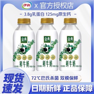 伊利金典鲜牛奶450ML*10全脂高钙新鲜生牛乳营养早餐低温鲜奶瓶装