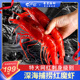 红魔虾鲜活刺身生腌特大速冻新鲜甜虾非西班牙进口国产鳌虾红虾